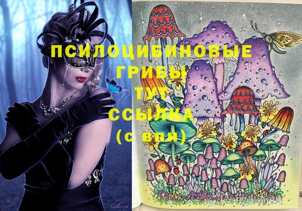 дурь Алексеевка