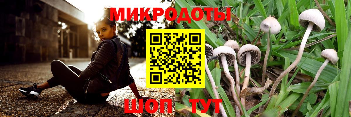 Галлюциногенные грибы MAGIC MUSHROOMS Киреевск
