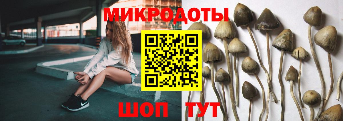 Галлюциногенные грибы Magic Shrooms  Вход с VPN  Киреевск 